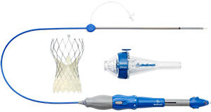 コアバルブ Evolut PRO（医療機器承認番号：23000BZX00196000） 