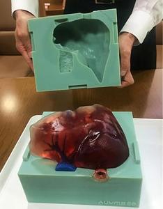 3Dプリント樹脂型「デジタルモールド」で成形した肝臓のモデル。植物由来の材料でできており，型と3Dプリンタで造形された血管を用いて繰り返し作製することができる。