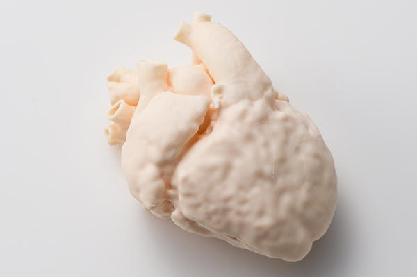 術前支援モデル「CARDIO Simulator」