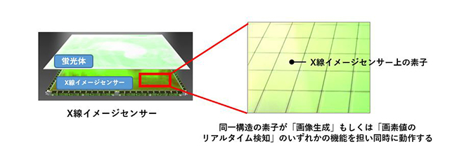 X線イメージセンサー内の素子構造（イメージ）