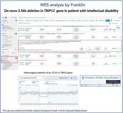 ＜解析結果の表示例＞