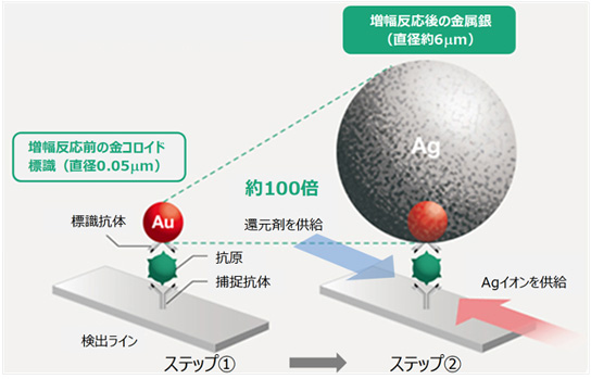 「COVID-19/Flu」に応用した，銀塩増幅反応による高感度検出技術