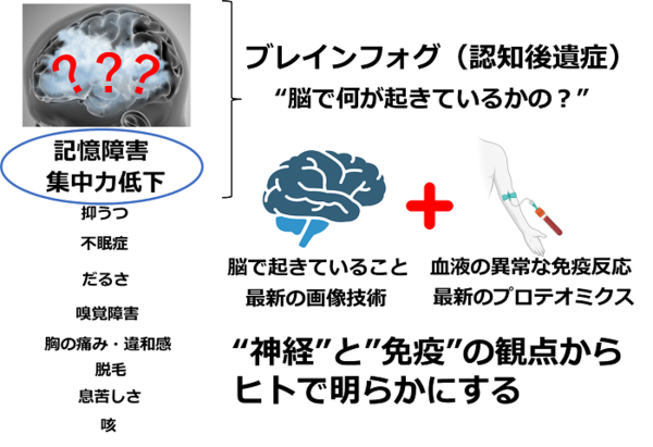 図：プロジェクト概要図