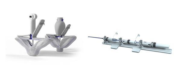 写真左：PASCAL Ace／PASCALインプラント　写真右：PASCAL Precisionデリバリーシステム