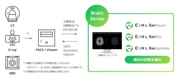 Brain Series