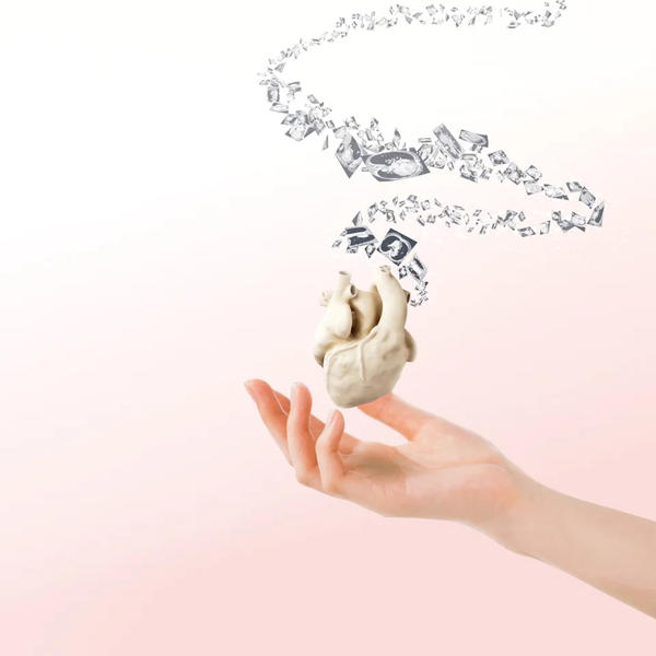 MedipreX 軟質実物大3D心臓モデル