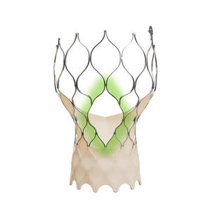 販売名：Evolut FX+ システム　医療機器承認番号：30700BZX00072000