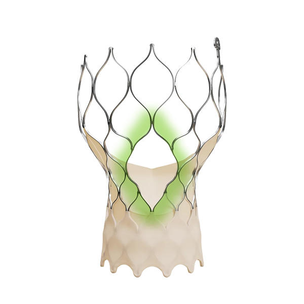 販売名：Evolut FX+ システム　医療機器承認番号：30700BZX00072000