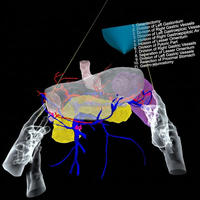 直感的な操作で，空間立体的な構造を多角的に確認