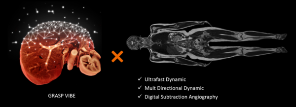 自由呼吸下で全身の造影Dynamic評価を可能にするGRASP VIBE