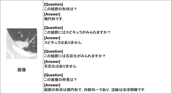 図1　研究の概略図