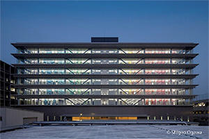 スペクトラムウォール（日没後）