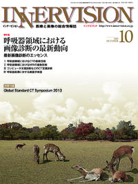 月刊インナービジョン2013年10月号
