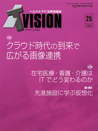 ITvision No.25