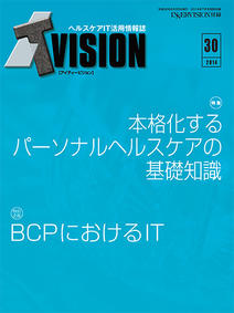 ITvision No.30