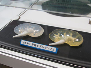 さまざまな硬さがあり，電子メスなどを使えるのが特長