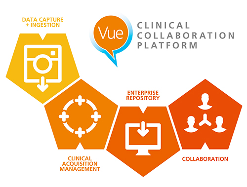 CCP（Clinical Collaboration Platform）