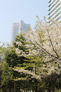 ランドマークタワー