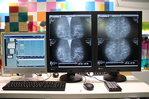 「Caps-Web」。各種画像の表示に対応したビューワが搭載されている。