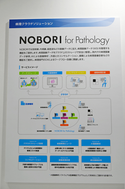 遠隔病理診断にも対応する「NOBORI for Pathology」