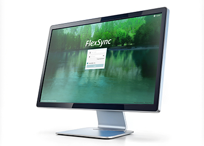 データ管理ソリューション「FlexSync」