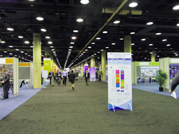 RSNA2012