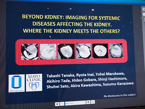 Beyond Kidney: Imaging for Systemic Diseases Affecting the Kidney. Where the Kidney Meets the Others?