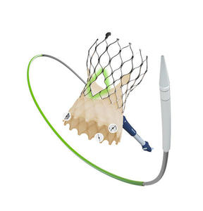 経カテーテル大動脈弁置換術（TAVR）用デバイス「Evolut FX＋ System」